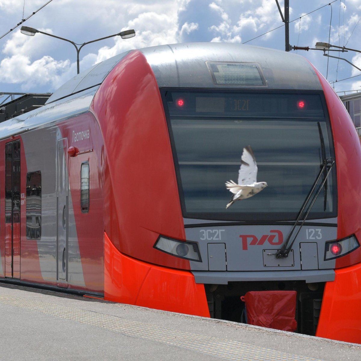 Ласточка поезд Балтийский вокзал