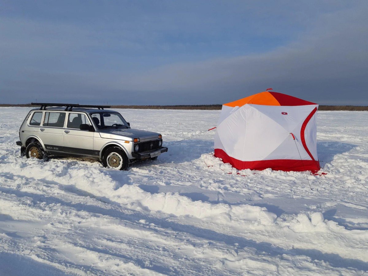 Палатка для зимней рыбалки медведь