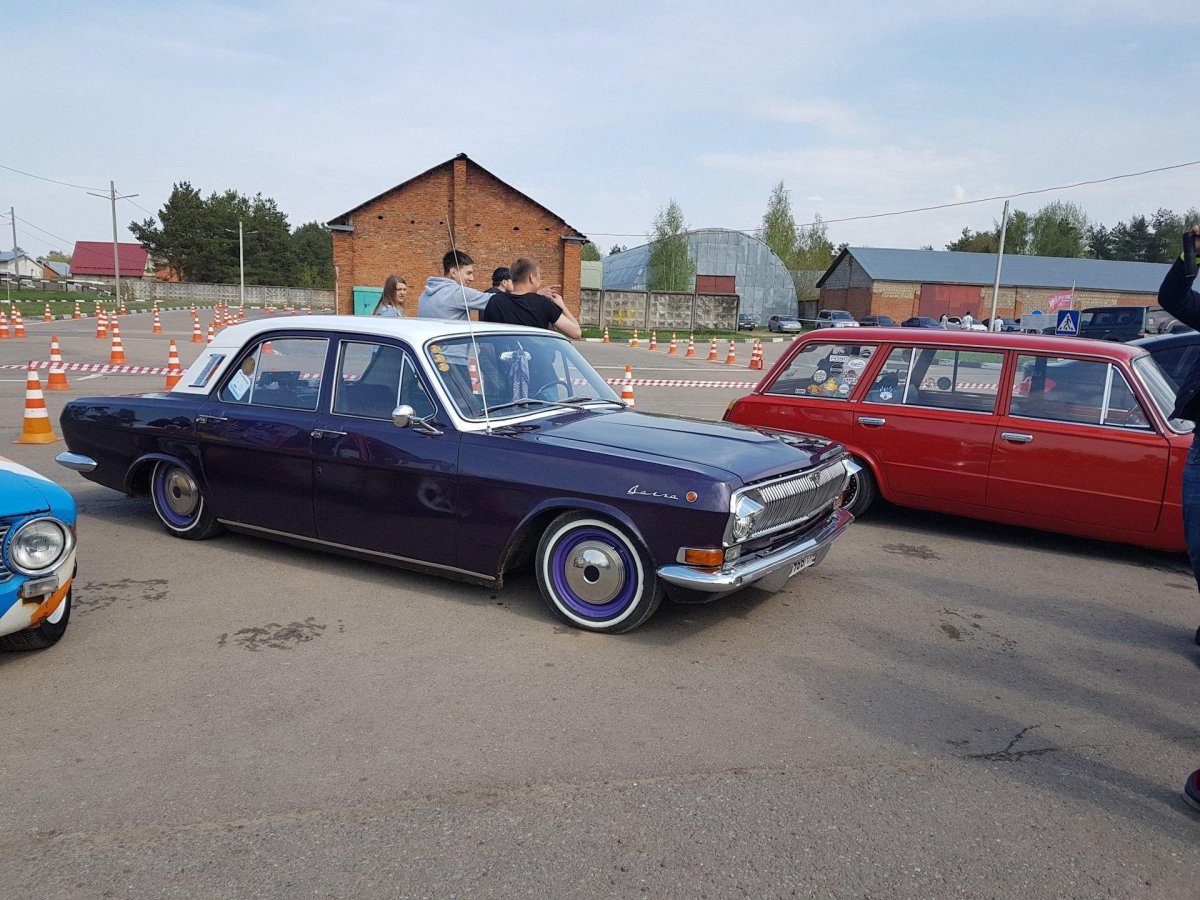 Волга 3102 стенс