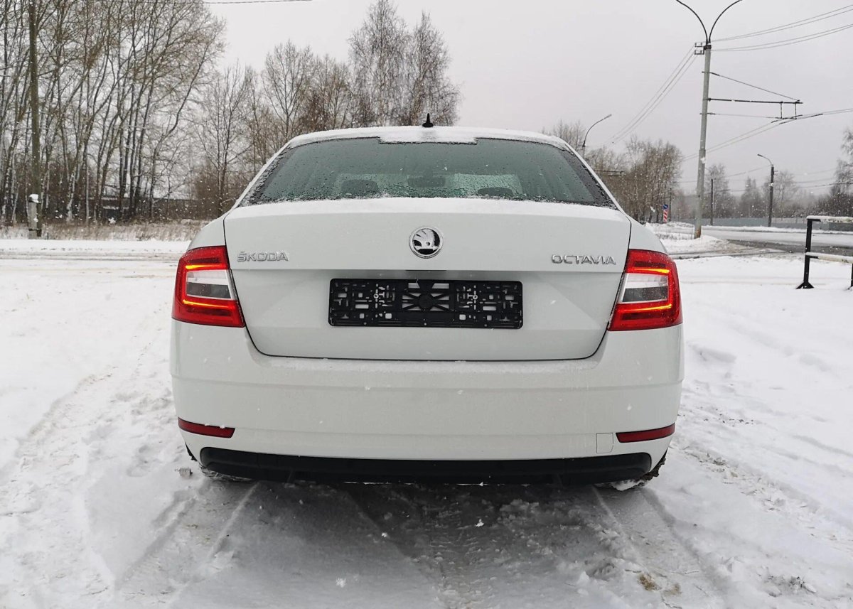 Шкода Октавия 2011 сзади