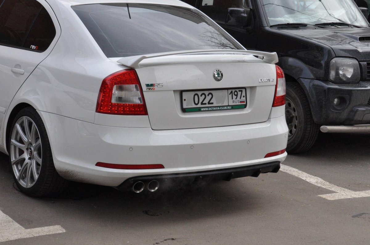 Skoda Octavia a5 FL сзади