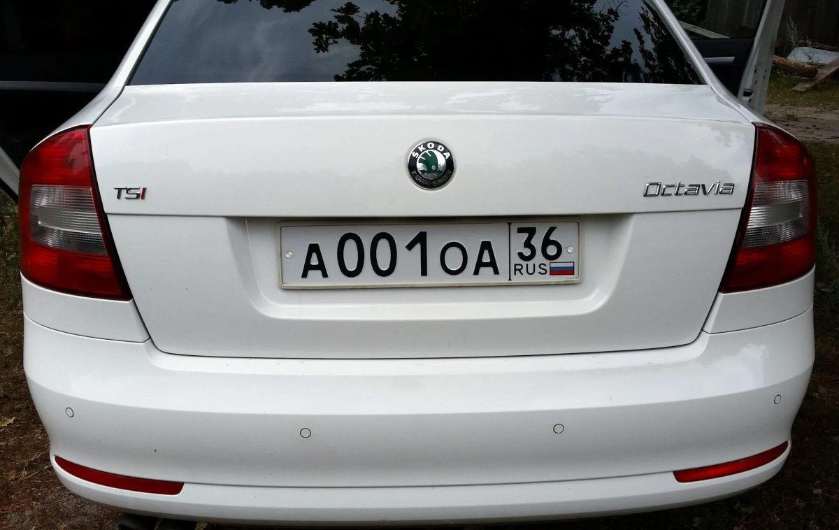 Шкода Октавия а5 сзади