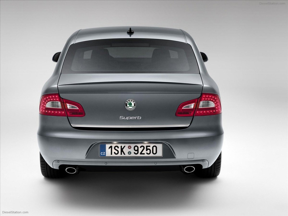 Skoda Superb вид сзади