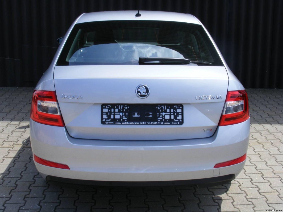 Шкода Октавия 2011 сзади