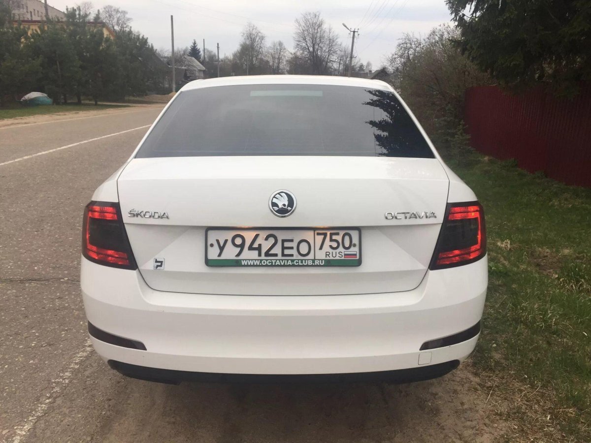 Шкода Рапид сзади