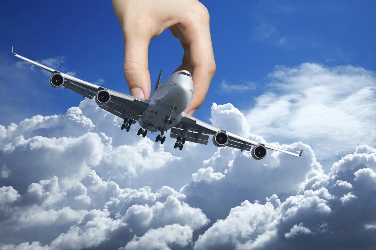 Самолет на руке