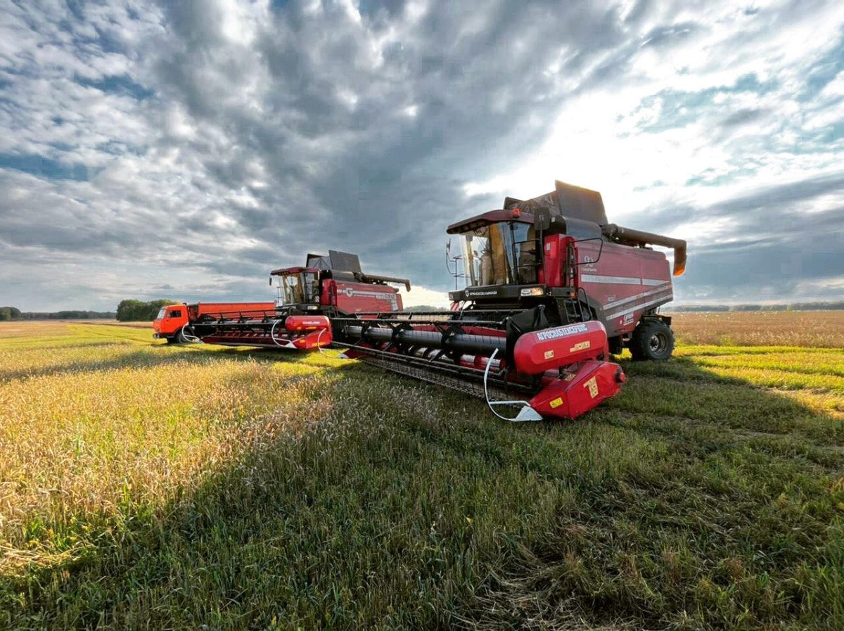Зерноуборочный комбайн gh800
