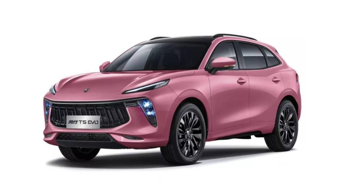 Фортинг т5 Эво