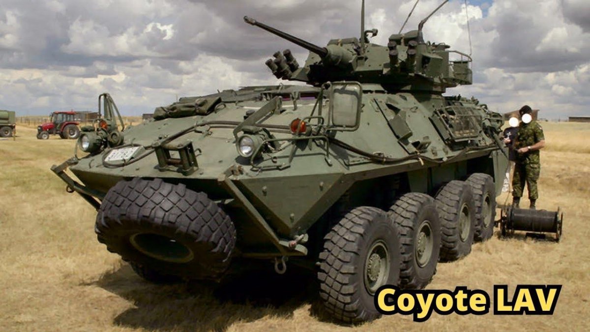 Lav-25 Coyote