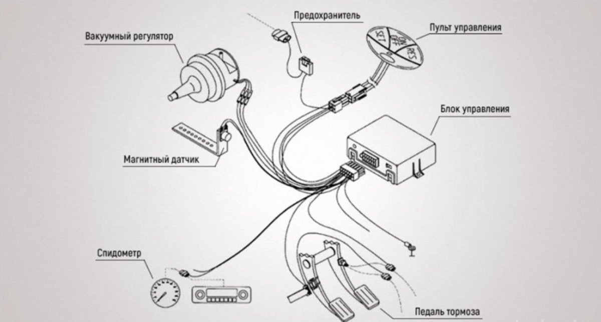 WAECO MAGICSPEED MS-50