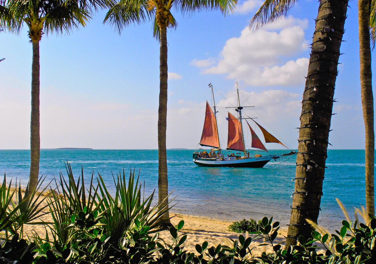 Парусник в море