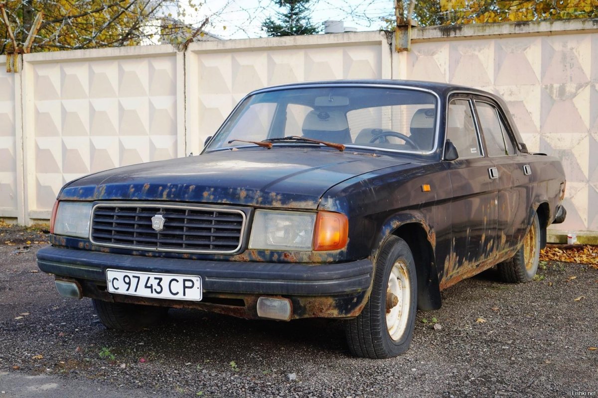 ГАЗ 31029 Волга 1994