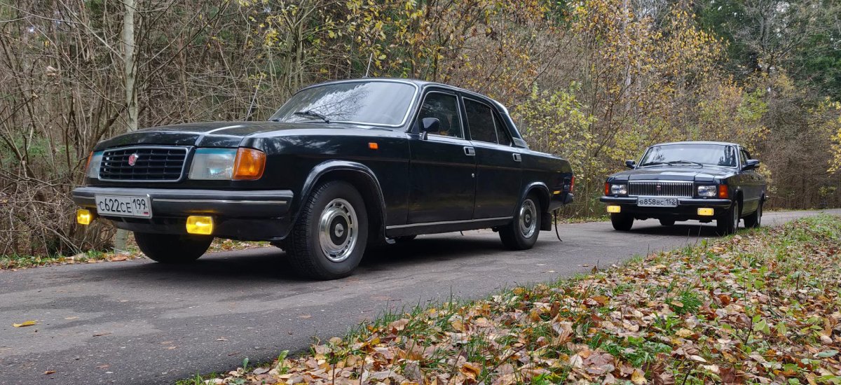 ГАЗ 31029 Директорская