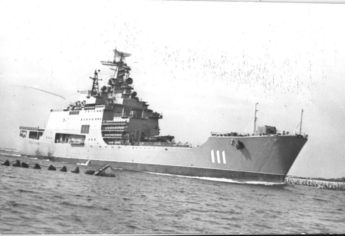 БДК 1174 носорог