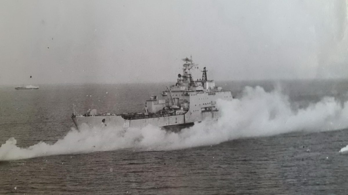 БДК 1174 носорог