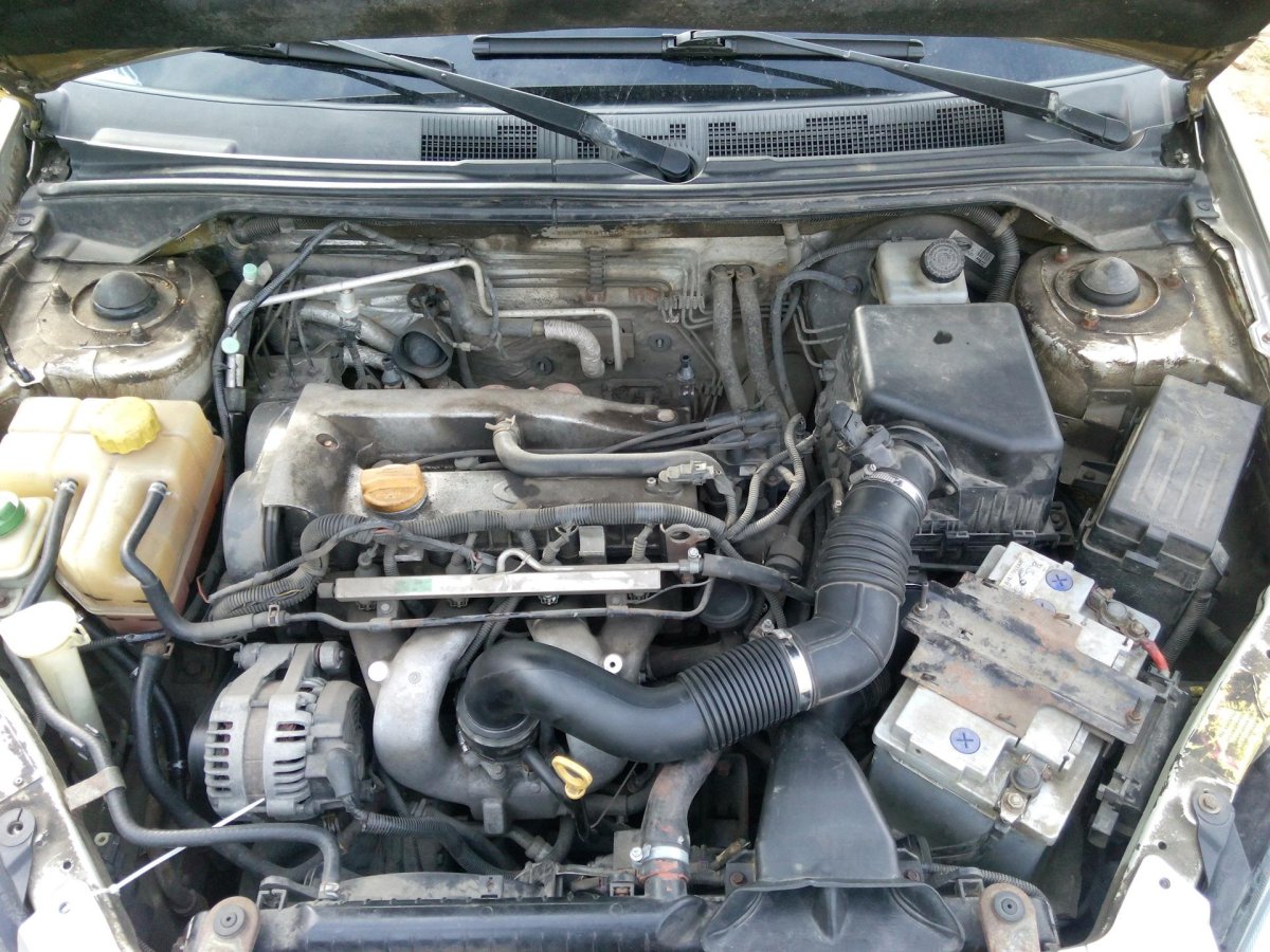 Chery fora 2.0 двигатель