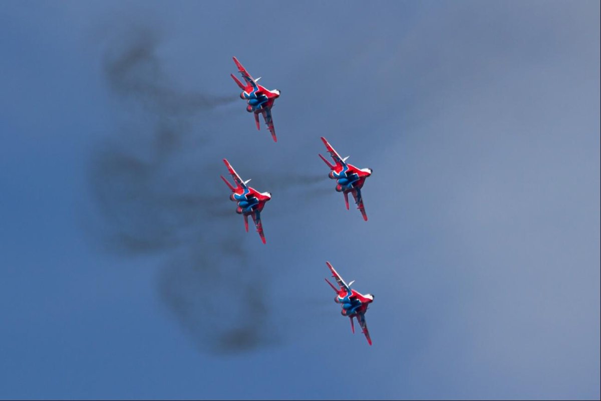 Стрижи флаг