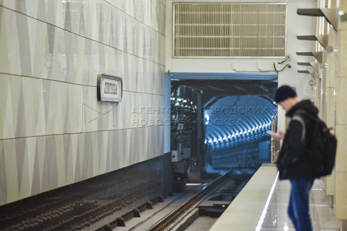 Поезда метро на Люблинской линии