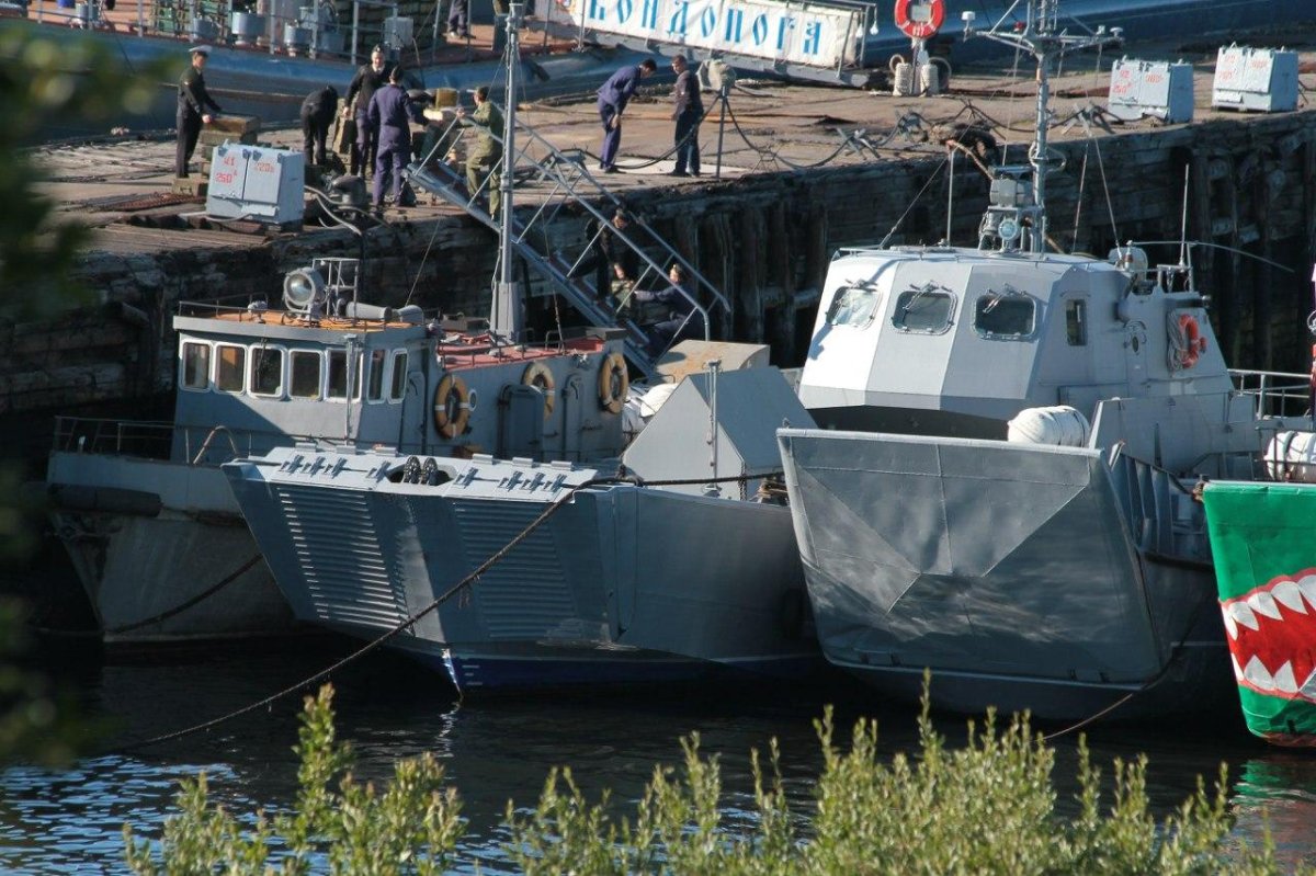 Десантные катера проекта 02320 «казак»