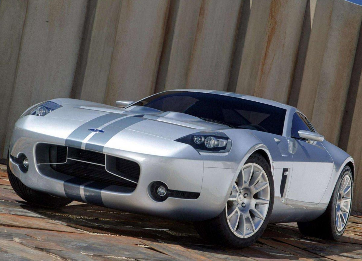 2005 Ford Shelby gr-1