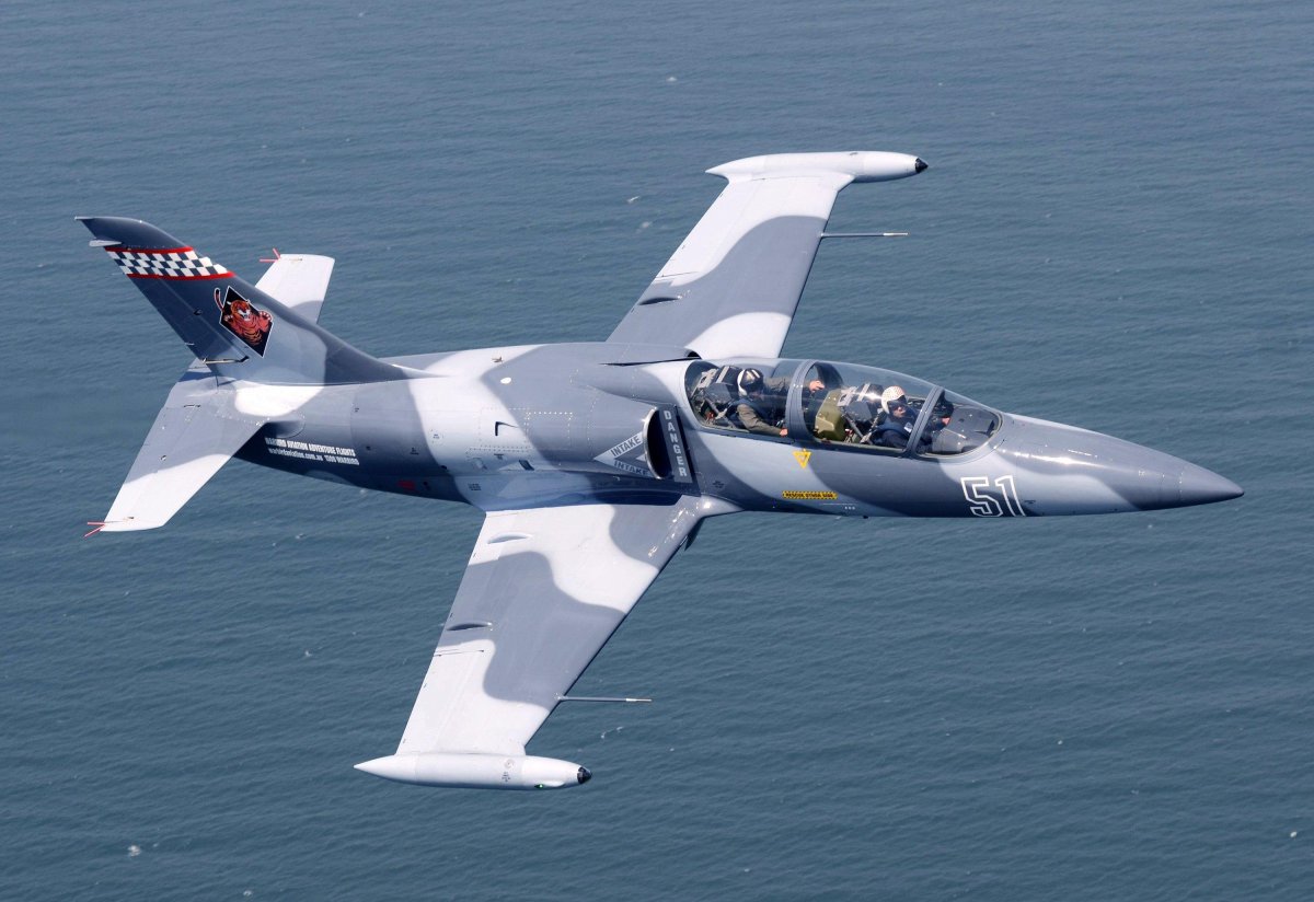 Самолет л-39 Альбатрос