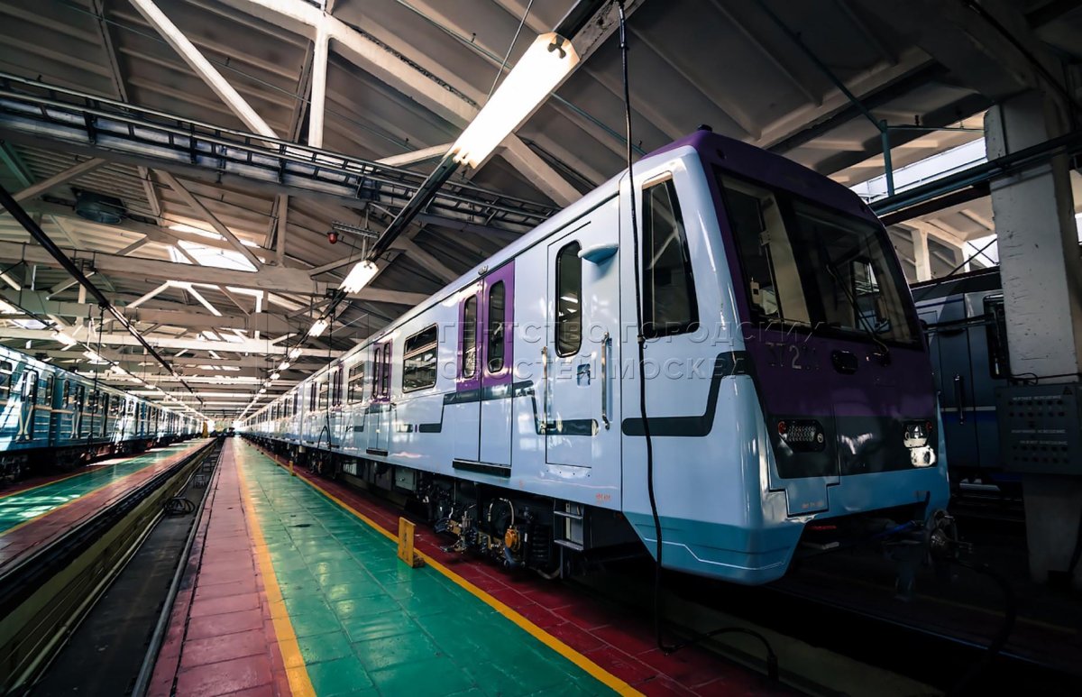 Вагоны депо Владыкино