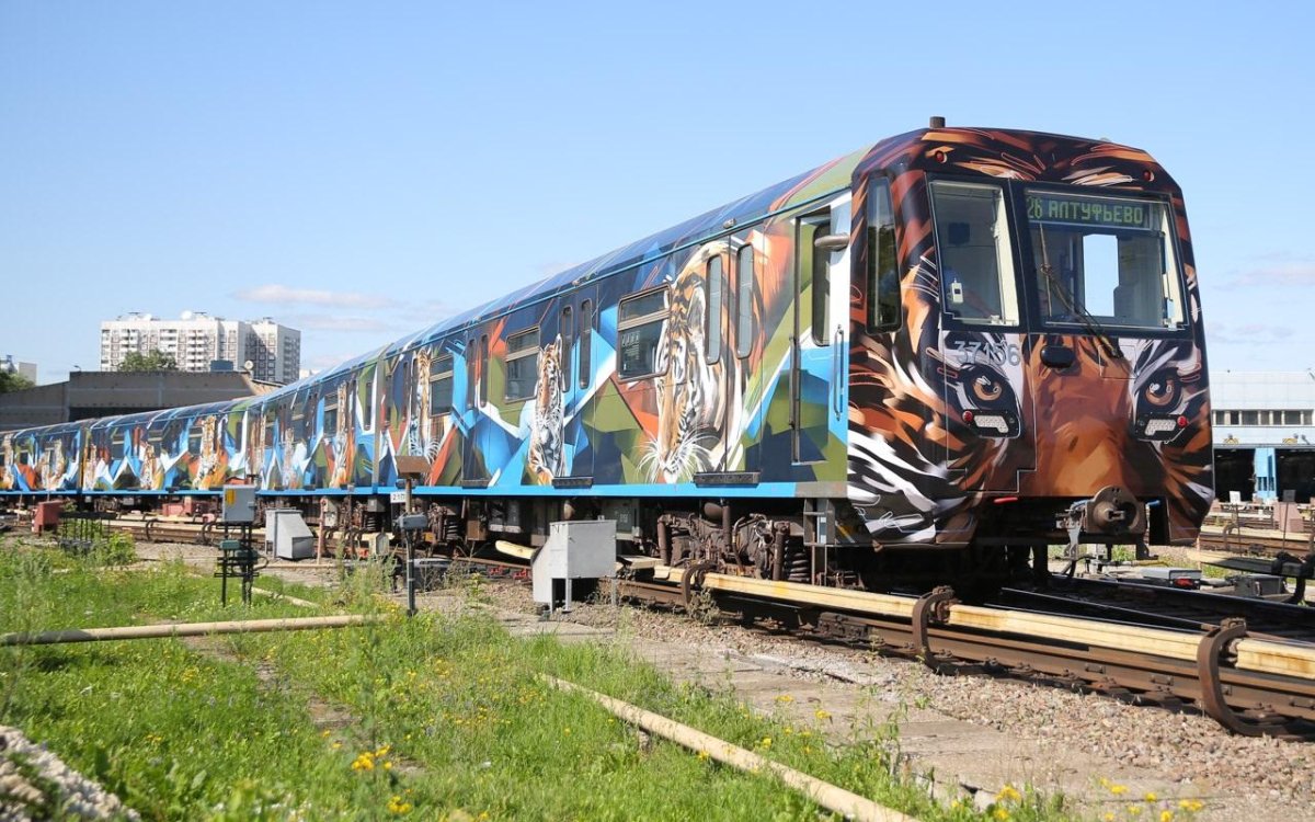 Поезд Амурский тигр в метро