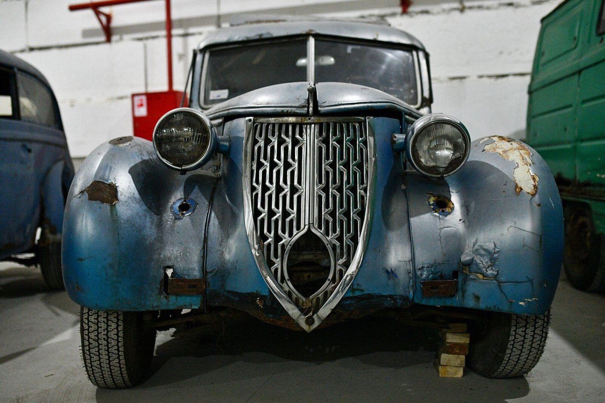 Шульц Вандерер