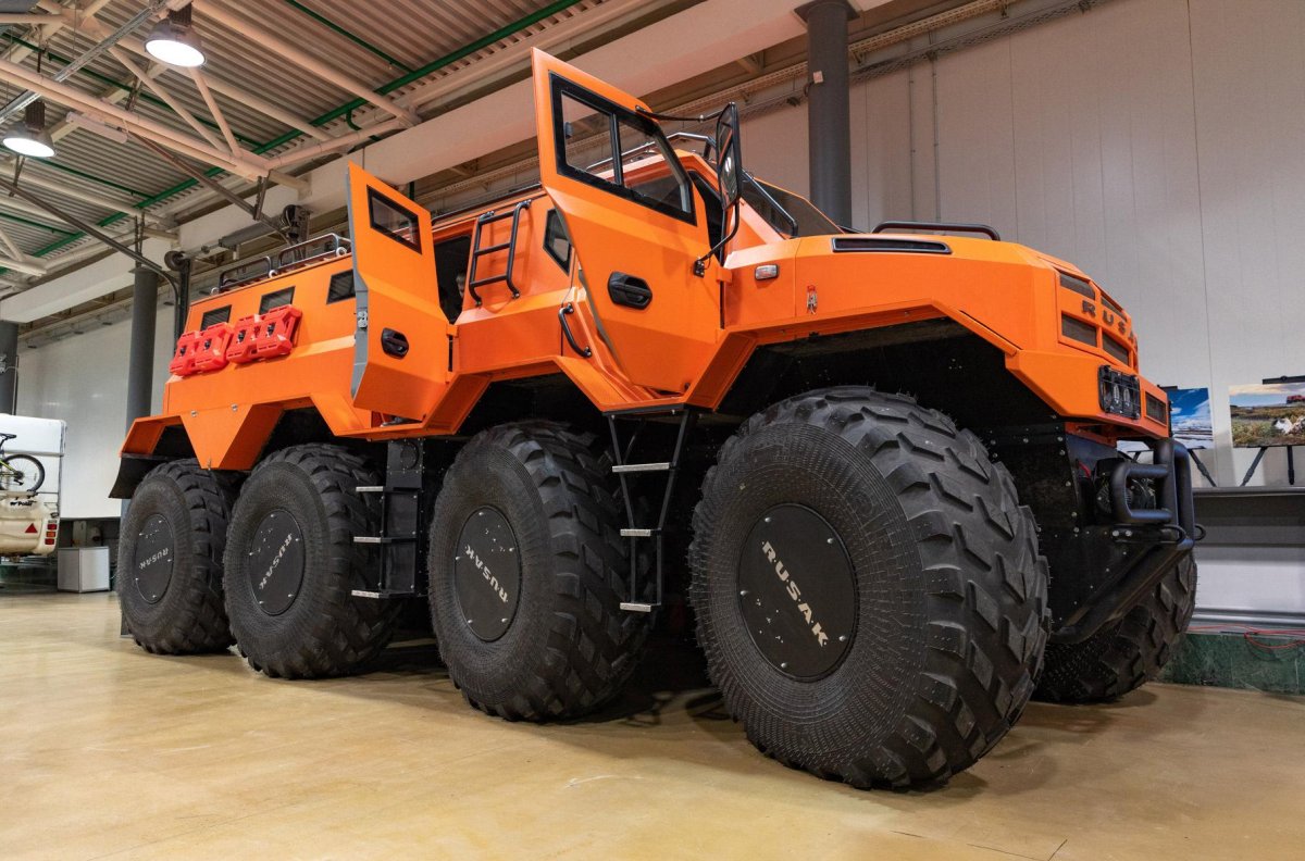 Снегоболотоход вея