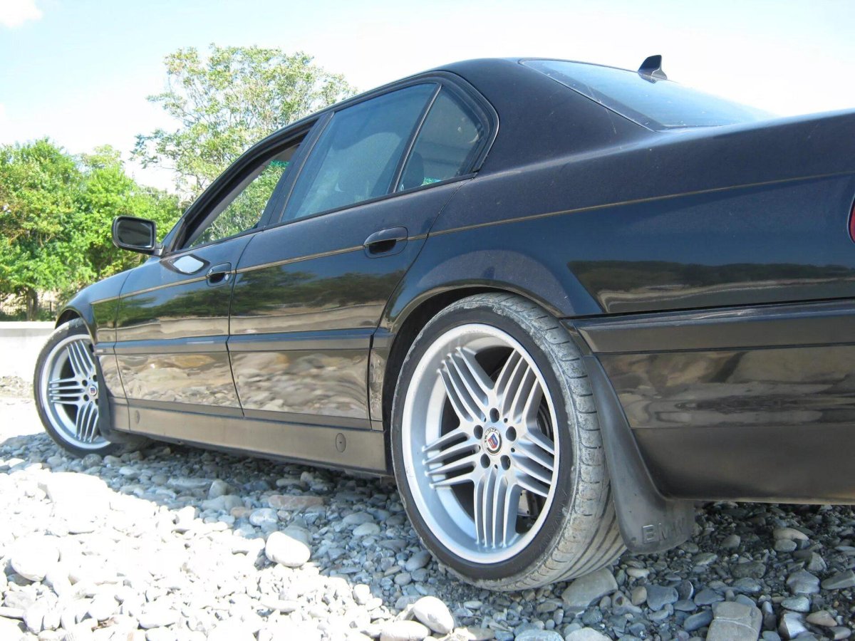 Alpina Dynamic r20