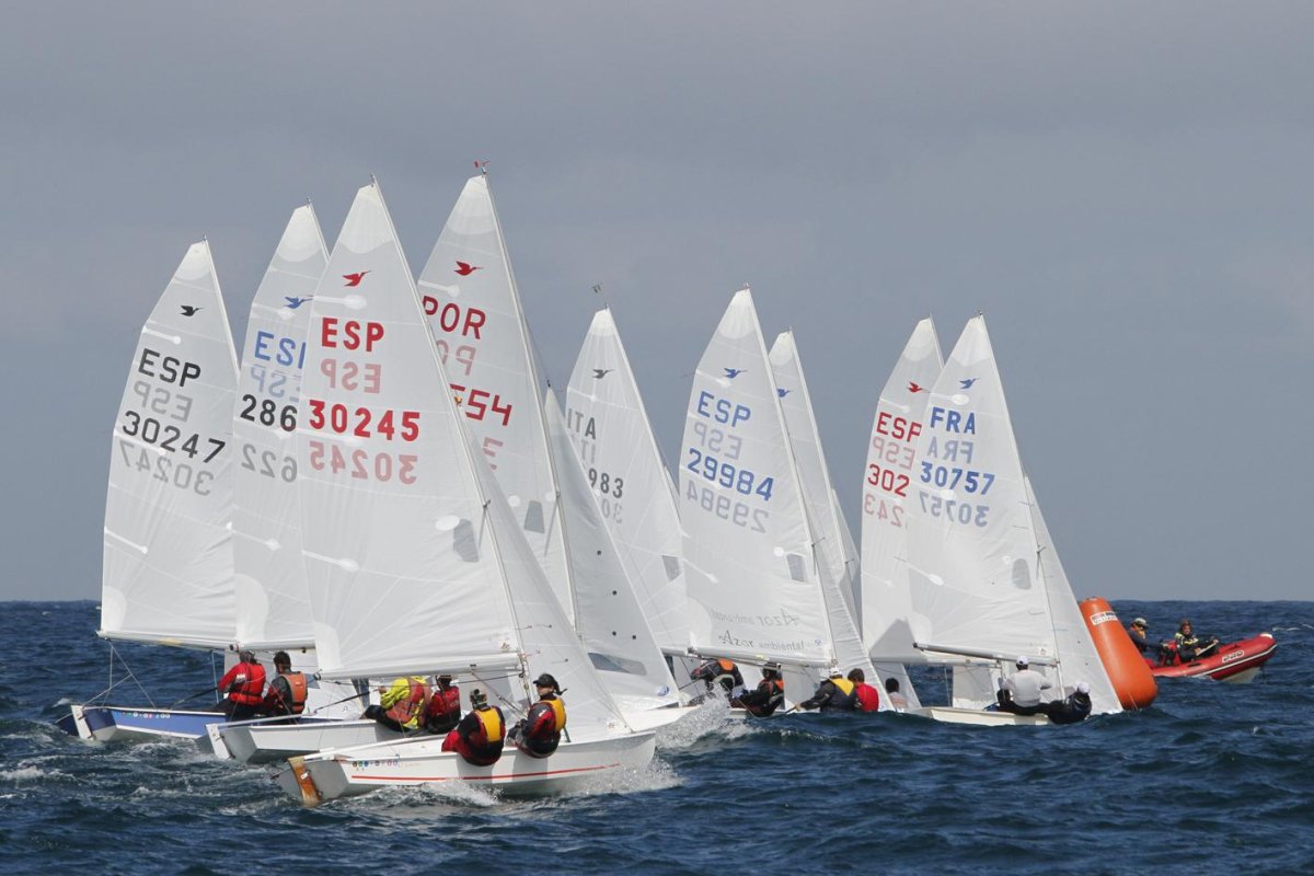 Швертбот снайп