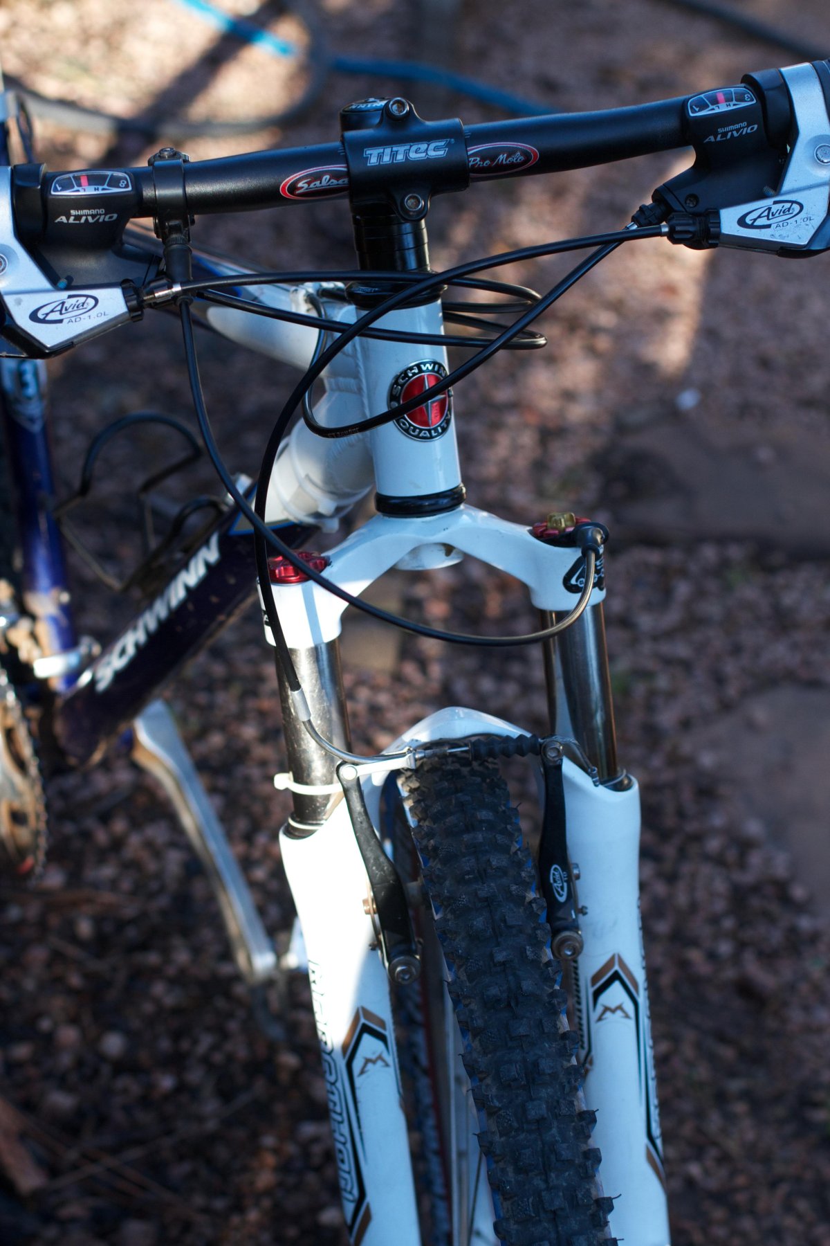 Built for Race Freeride 55036cc