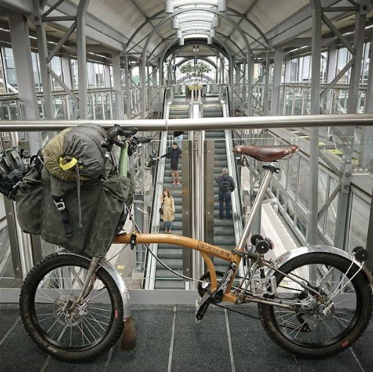 Велосипед для тренировки собак