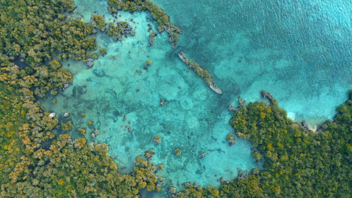 Саргассово море вид из космоса