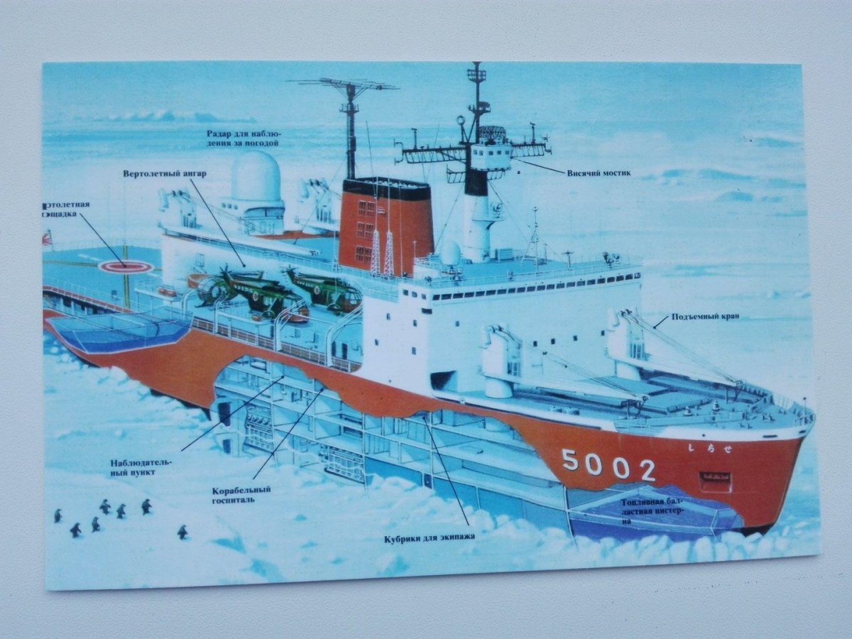 Ледокол Арктика в разрезе