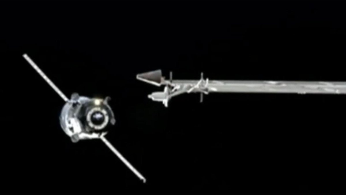 Прогресс МС