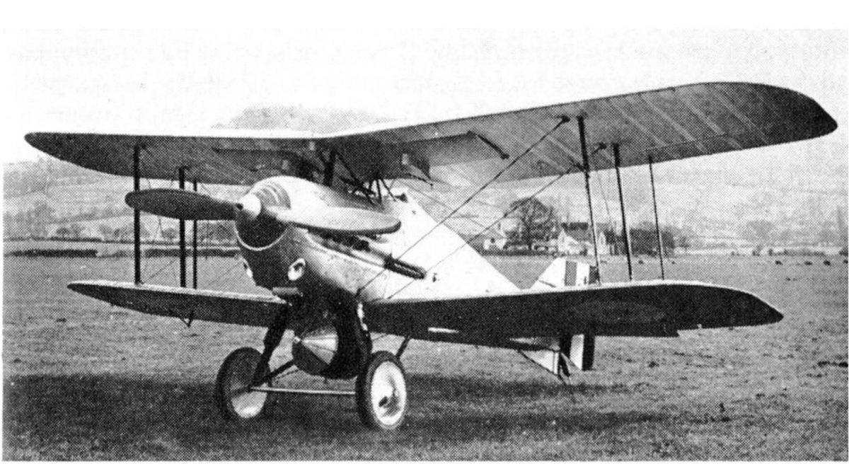 10kg Gloster