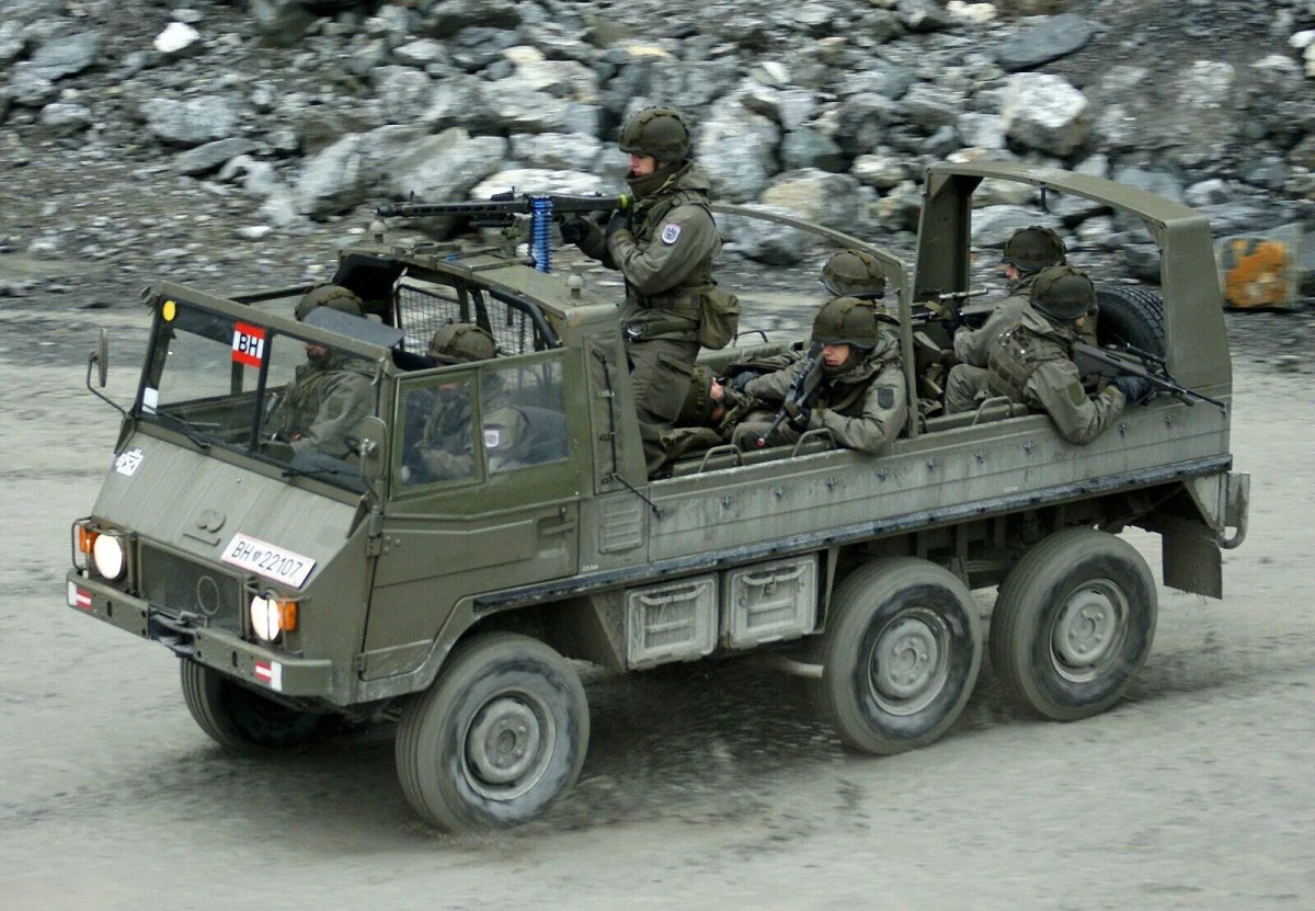 Pinzgauer 712