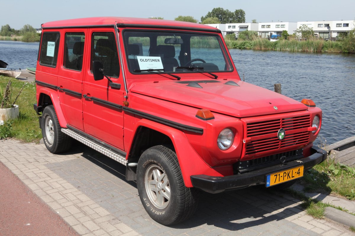 Штайр Даймлер пух