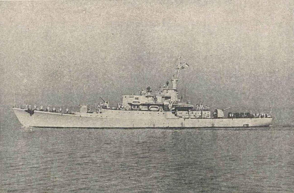 Эскадренные миноносцы типа «Альмиранте Браун»