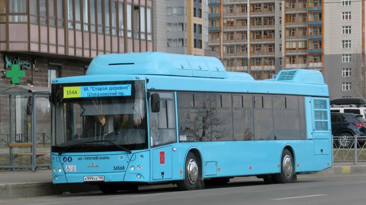 МАЗ 203 Питер