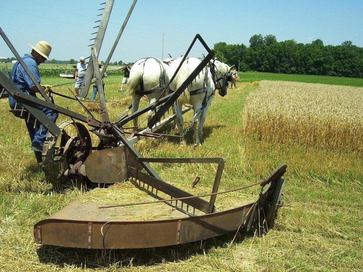 Косилка конская MCCORMICK