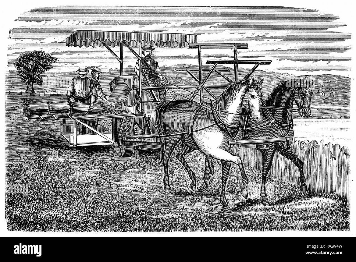 Сельское хозяйство гравюра