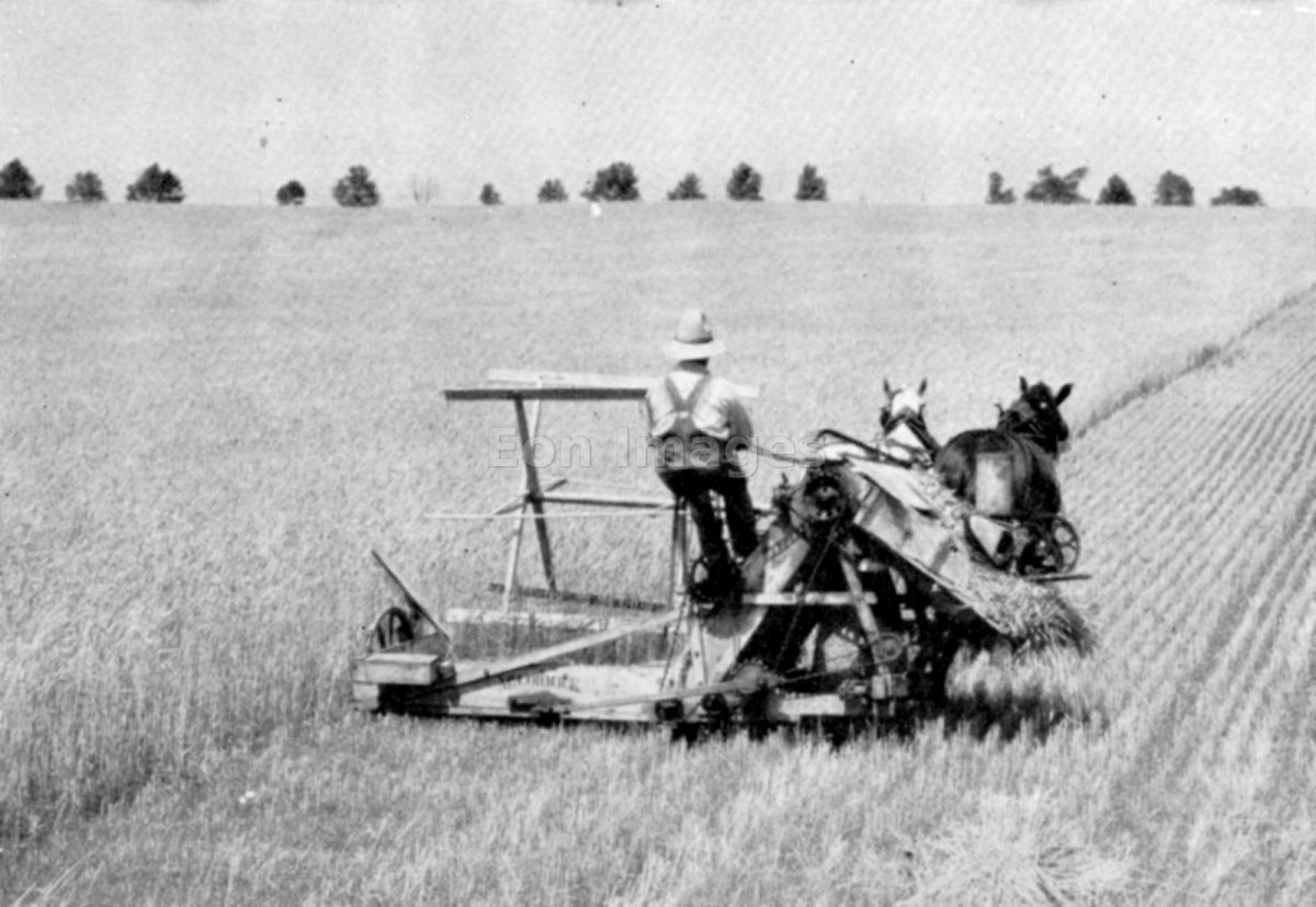 Механическая жатка Маккормика