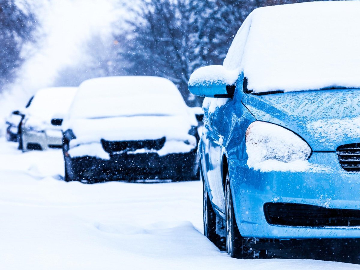 Машины на зимнем фоне