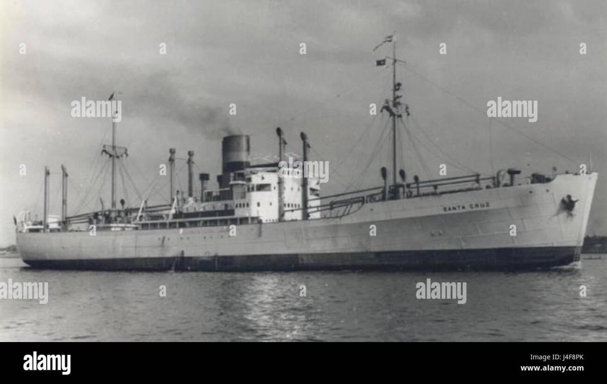 Корморан вспомогательный крейсер