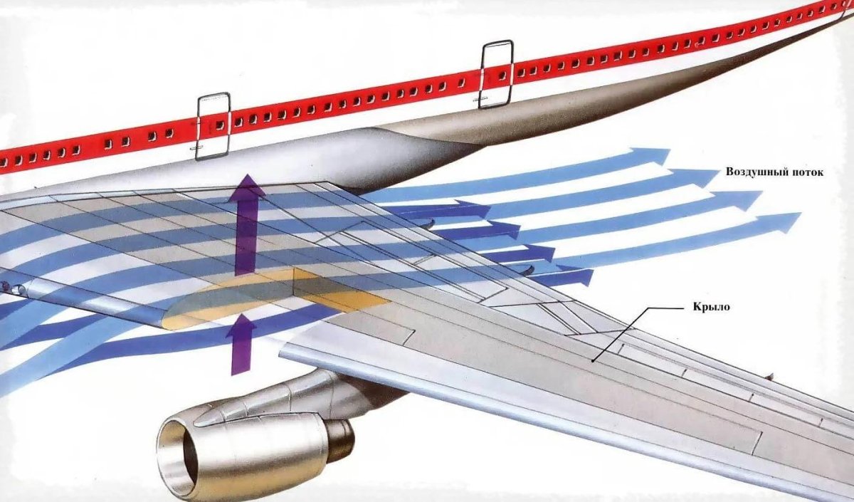Аэродинамика крыла самолета подъемная сила