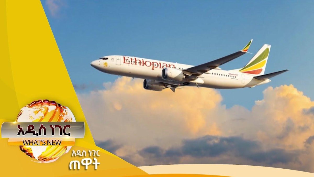 Boeing 737-800 эфиопские авиалинии