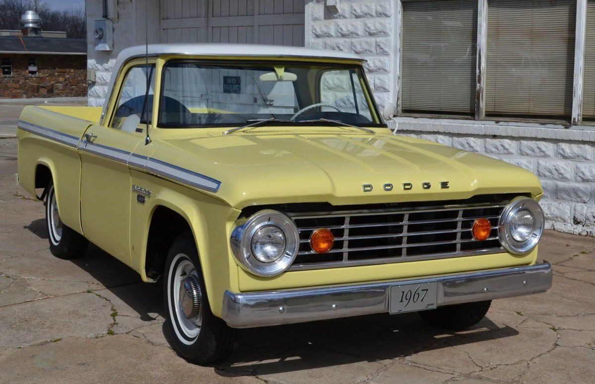 Dodge d100