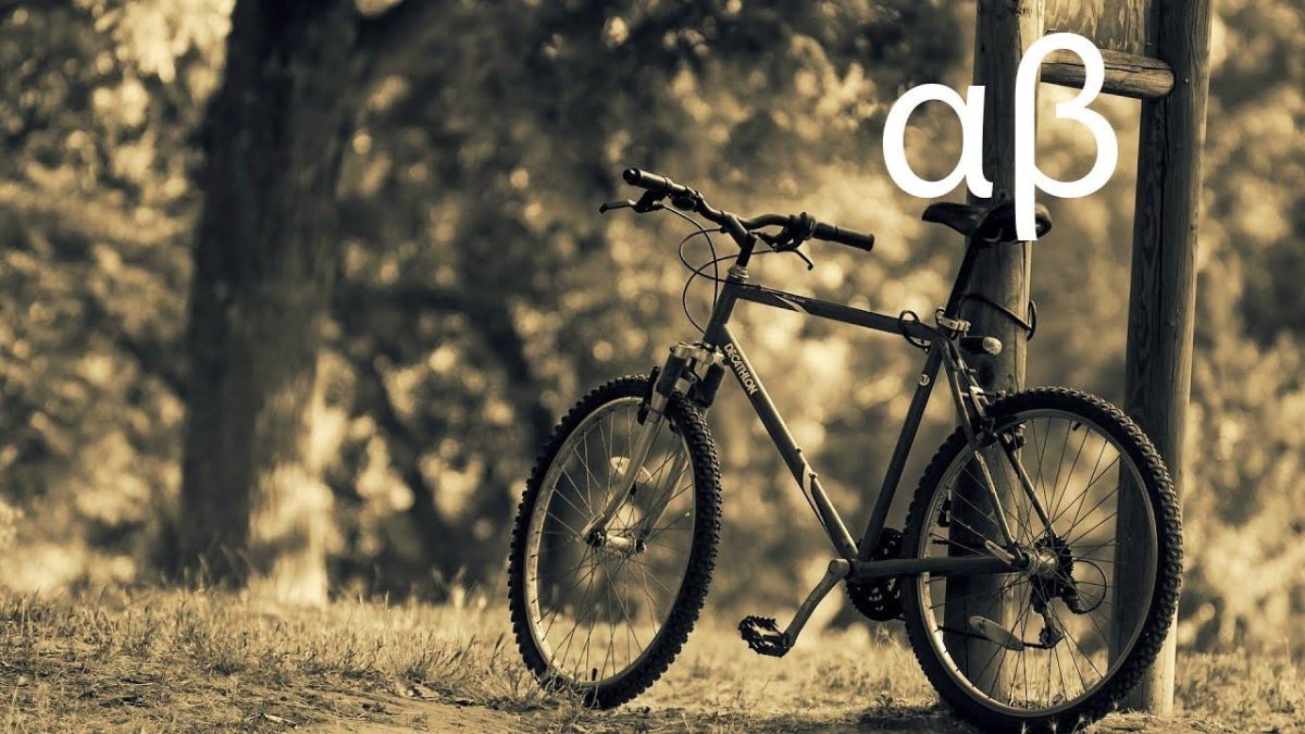 Велосипед в дереве